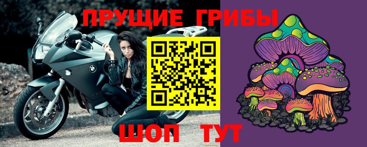 Каменск-Шахтинский  Псилоцибиновые грибы прущие грибы  Вход с VPN 