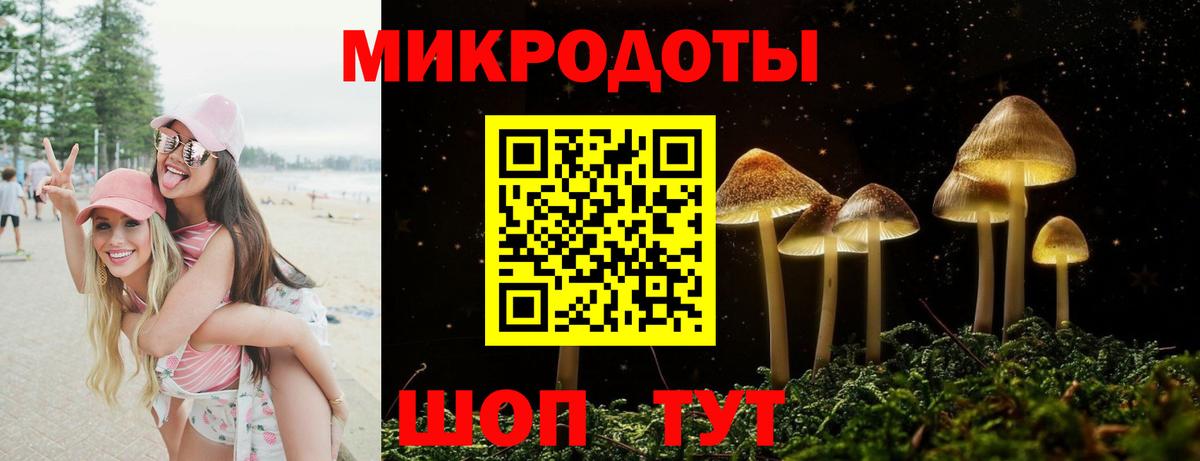 Галлюциногенные грибы прущие грибы Каменск-Шахтинский