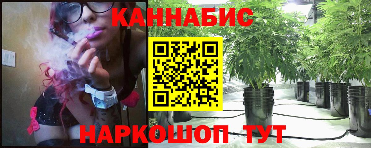 Каменск-Шахтинский  Бошки марихуана конопля  Шишки марихуана план  Вход с VPN  Канабис ГИДРОПОН 